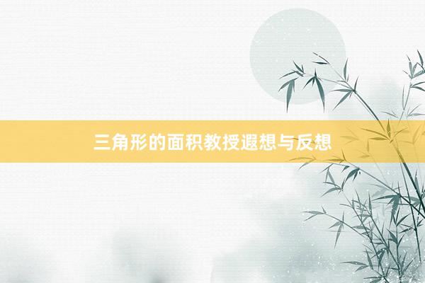 三角形的面积教授遐想与反想