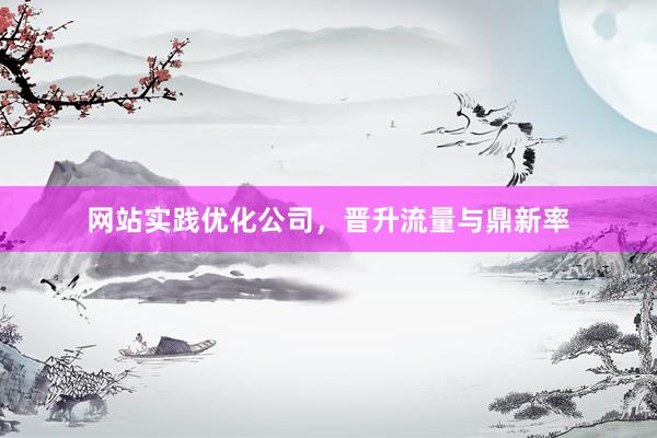 网站实践优化公司，晋升流量与鼎新率