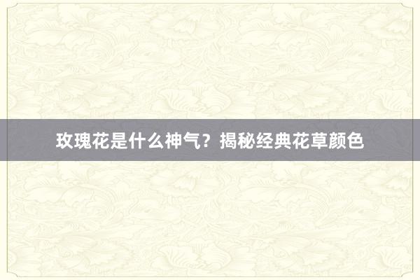 玫瑰花是什么神气？揭秘经典花草颜色