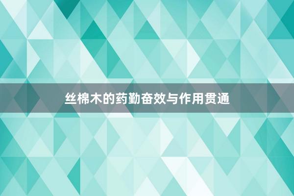 丝棉木的药勤奋效与作用贯通